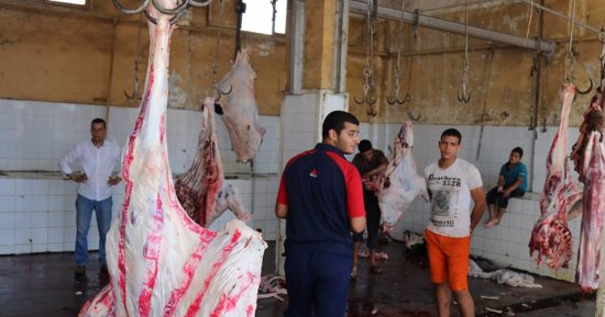 بالصور.. "بيطرى كفر الشيخ:": ذبح 540 رأس ماشية فى 19 مجزرا ونقطة ذبح