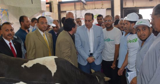 بالصور  .. محافظ الدقهلية يكلف بتوزيع لحوم الأضاحى على فقراء ميت الكرما