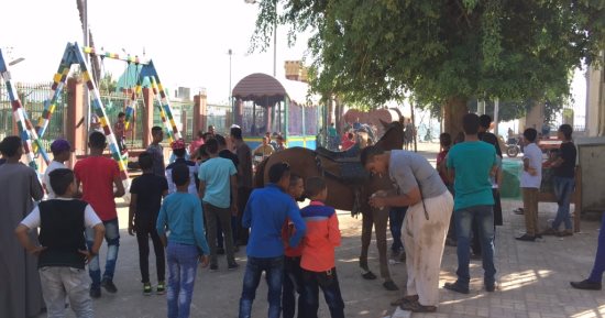 بالصور.. الخيول والموتوسيكلات بهجة الشباب والأطفال فى العيد بأسيوط
