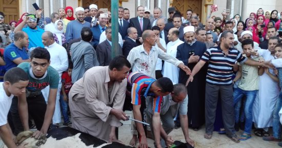بالفيديو والصور.. محافظ بنى سويف ومدير الأمن يشهدان ذبح أضحية العيد 