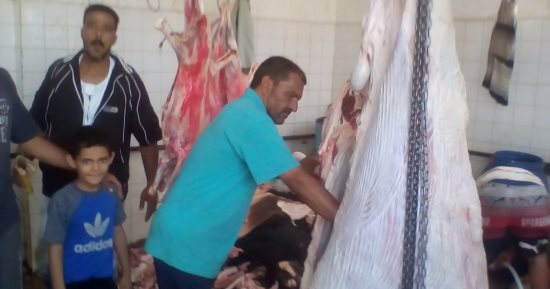 "بيطرى دمياط" تستعد لعيد الأضحى بوقف إجازات الأطباء وفتح المجازر مجانًا