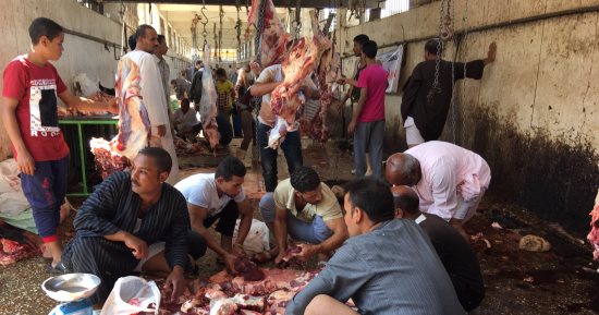 بالصور.. مجازر أسيوط تستقبل المواطنين لذبح الأضاحى بالمجان