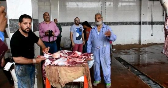 بالصور ..مجازر الشرقية تواصل ذبح الأضاحي بالمجان فى ثانى أيام العيد