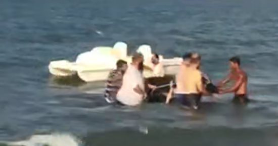 بالفيديو.. بقرة تهرب من الجزار إلى بحر بورسعيد والجزارين ينجحون فى إنقاذها