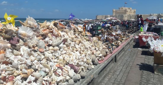 بالصور .. قلعة قايتباى تستقبل 20 ألف زائر وتحقق 100 ألف جنيه إيرادات بالعيد