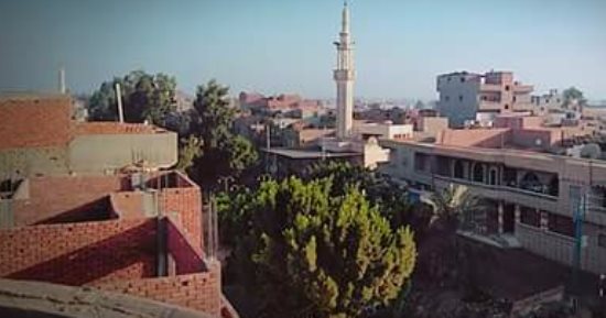 سكان قرية الدولتلى فى الدقهلية يشكون من انعدام الخدمات