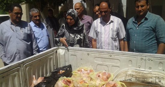 ضبط كميات من الفراخ غير صالحة للاستهلاك الآدمى بالقوصية في أسيوط