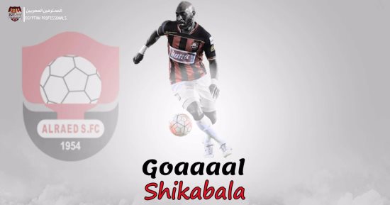 شاهد.. فرحة جماهير الزمالك بـ هدف شيكابالا مع الرائد