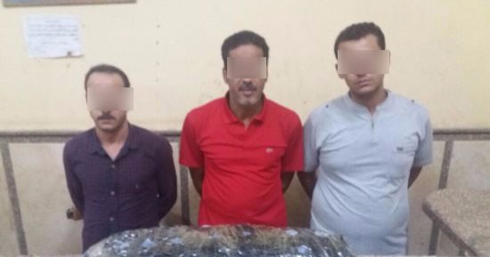 القبض على 3 عمال قبل ترويجهم 5 كيلو بانجو فى منطقة التبين
