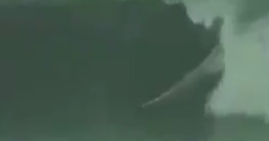 بالفيديو.. أمريكى يركب الأمواج وسط الإعصار فى فلوريدا