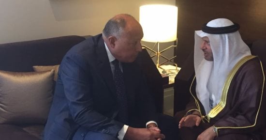 شكرى وقرقاش يبحثان مستجدات أزمة قطر.. ويؤكدان تكثيف جهود مكافحة الإرهاب