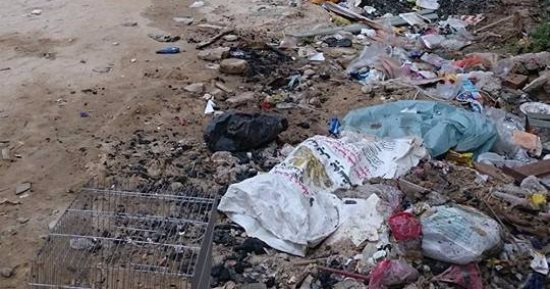 بالصور.. شكوى من تراكم القمامة أمام أحد فنادق الإسكندرية