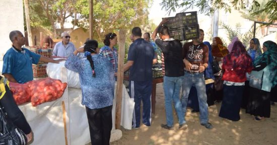غدا .. رئاسة مركز الخارجة تدشن منافذ لبيع الخضروات والفواكه بسعر الجملة