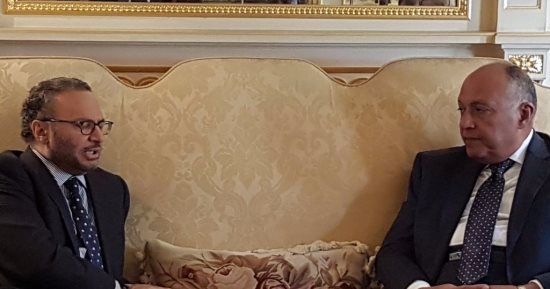 شكرى: تعديل بنود الاتفاق السياسى الليبى يجنب دخول البلاد فى فراغ سياسى
