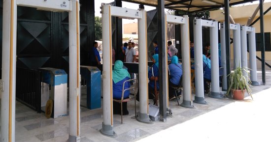 عميد زراعة عين شمس: زيادة إنتاجية مزارع الكلية العام الجارى