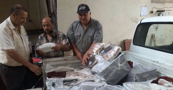 بالصور.. ضبط "كافيار" وسمك "غطيان" منتهى الصلاحية داخل مطعم ببورسعيد