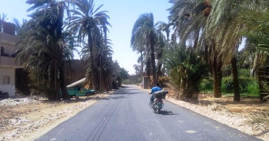 بالصور .. رصف طرق بمدينة جهينة بتكلفة 3 ملايين و300 ألف جنيه