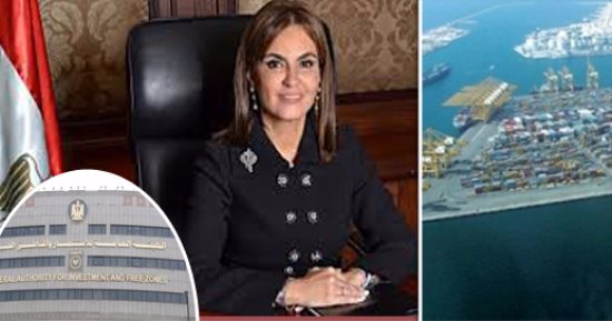 سحر نصر لـ" اليوم السابع" : زيادة الاستثمار الأجنبى لـ 7.9 مليار دولار بعد "الإصلاح التشريعى بارتفاع مليار دولار فى عام.. 18,7 مليار جنيه رؤوس أموال شركات جديدة فى 8 أشهر.. و 60 خدمة للشركات بالمجان