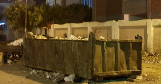بالصور.. القطط والكلاب والقمامة تحاصر مدرسة منشية بدوى ببنها