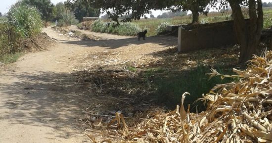 بالصور.. أهالى "المجازر" بالشرقية يطالبون بتطهير ترعة القصالى من المخلفات