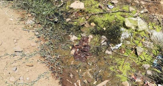 أهالى "دنشواى" بالمنوفية يشكون من عدم وجود شبكة صرف صحى
