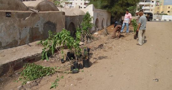 بالصور.. رئيس مدينة الحامول تشارك بحملة نظافة وتشجير وإضاءت المقابر بـ3 قرى 