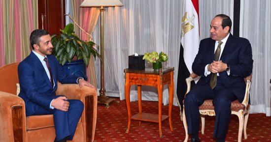 السيسي: المرحلة الراهنة تستلزم مواجهة محاولات التدخل في شئون الدول العربية