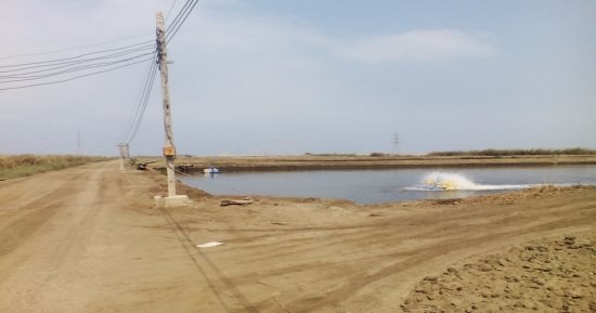 "تنمية الثروة السمكية" تعلن طرح مزارع سمكية بدمياط للتأجير فى مزاد