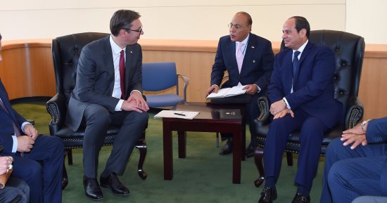 السيسي يبحث تفعيل التعاون مع صربيا ويتلقى دعوة لزيارة بلجراد