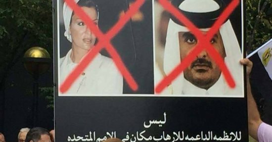 صفحة "تعيشى يا مصر" تنشر صورا لمئات المتظاهرين ضد قطر وأميرها بنيويورك