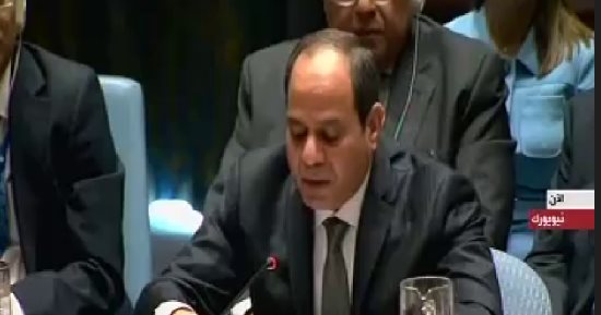 بالفيديو.. السيسي: مصر ساهمت فى حفظ السلام بعدد قوات تجاوز الـ 30 ألف فرد
