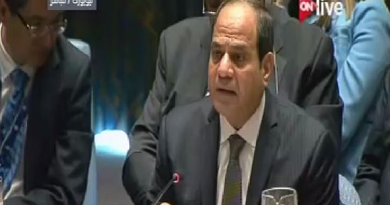 السيسي: يجب عدم فرض أنماط معينة على دول النزاعات ومراعاة خصوصياتها