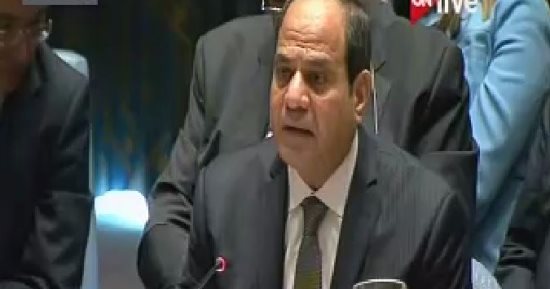 الرئيس السيسى يجرى اتصالاً هاتفياً مع الرئيس النيجيرى