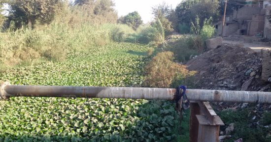 بالصور.. قرية محلة سبك بالمنوفية تعانى من الإهمال ونقص الخدمات