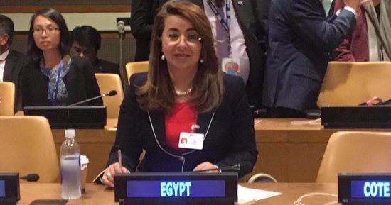 وزيرة التضامن: مصر تحارب الإرهاب بشرف نيابة عن العالم