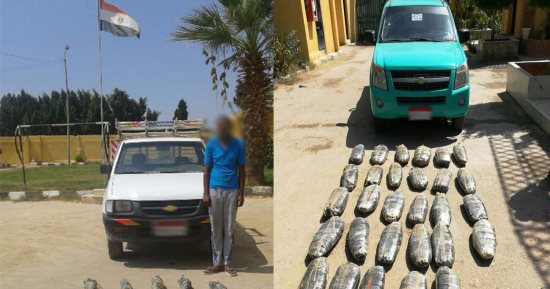 المتحدث العسكرى ينشر جهود قوات حرس الحدود خلال الشهر الجارى