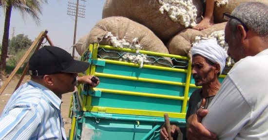 وكيل زراعة أسيوط يتفقد بيع محصول القطن بقرى مركزى أسيوط وأبنوب