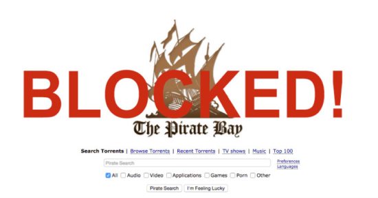 محكمة هولندية تطالب مقدمى خدمات الإنترنت بحجب موقع القرصنة The Pirate Bay