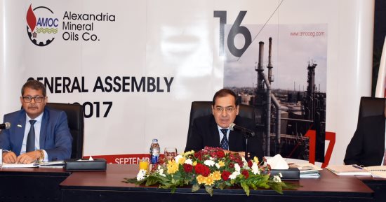الإسكندرية للزيوت المعدينة "أموك": حققنا أرباح 1.1 مليار جنيه بزيادة 153%