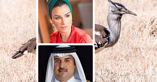 فضائح أمراء قطر الجنسية عرض مستمر.. من باكستان للهند آل ثانى يشبعون شهواتهم بقاصرات.. شرطة نيودلهى: أمراء فى عقدهم السادس يدفعون4500 و15500دولار لقضاء ليالى حمراء مع الصغيرات.. وموزة تفشل فى التستر على فضائحهم