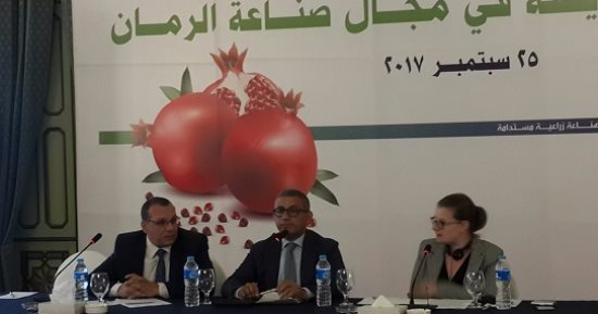 ملتقى "التصنيع الغذائى": مصر تنتج 130 ألف طن رمان سنويا