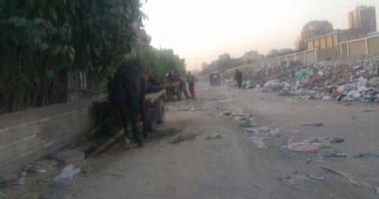 تراكم القمامة بشارع ترعة الزمر.. وقارئ: الطريق غير ممهد للسير 