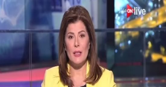 أمانى الخياط: مصر منفتحة على مشروعات كبرى تساعد على حل أزمة البطالة