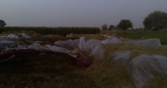 مستشار وزير البيئة فى جولة ليلية بمركز سمنود بالغربية