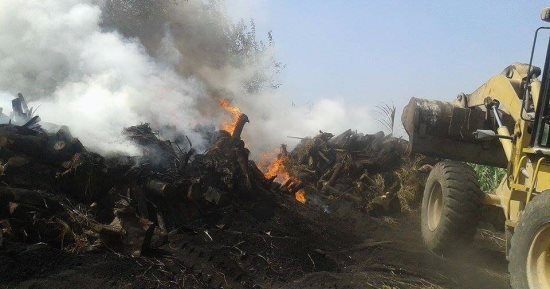 بالصور.. إزالة مدينة أبو زعبل تشن حملة لإزالة 3 مكامير بأبو زعبل بالخانكة