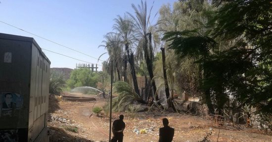 نشوب حريق بعدد من الأشجار بجوار مدرسة ابتدائى فى قنا