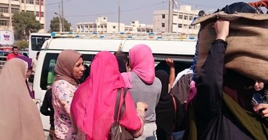 طلاب الجامعات بمنيا القمح يطالبون بتوفير وسائل مواصلات لنقلهم