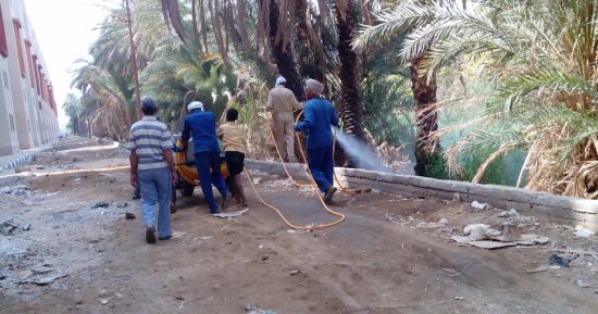 بالصور.. "صحة أسوان" تنفذ الإجراءات الوقائية من انتشار "حمى الضنك"