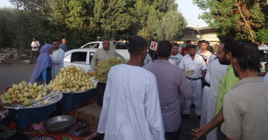 بالصور .. تحرير 15 محضر إزالة إشغالات طرق بمدينة الأقصر