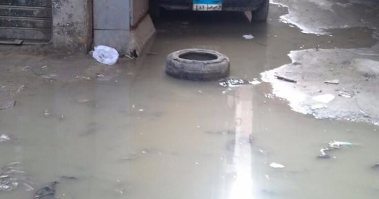 مطالب لأهالى قرية عرب الرمل بمركز قويسنا بالمنوفية بإدخال الصرف الصحى 